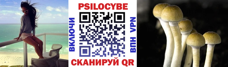 Купить где  Верхний Тагил  Псилоцибиновые грибы Psilocybe 